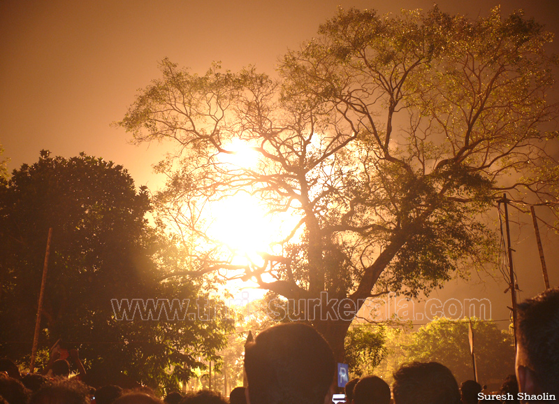 thrissur-pooram-2011- (105)